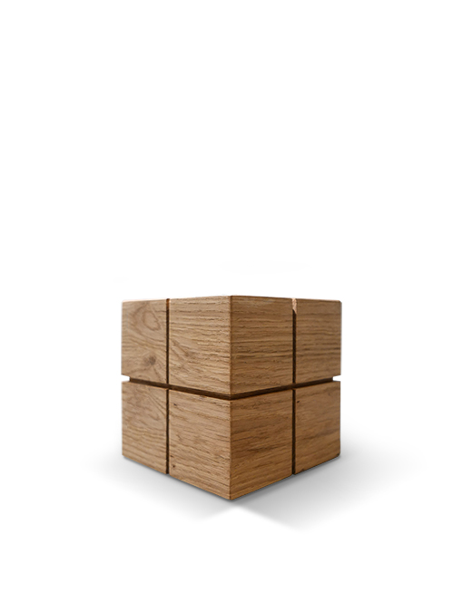 Modell Modell Schenk 79