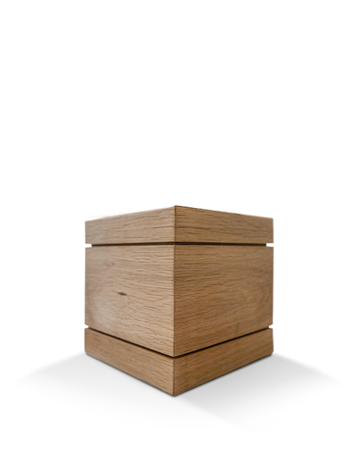 Modell Modell Schenk 66
