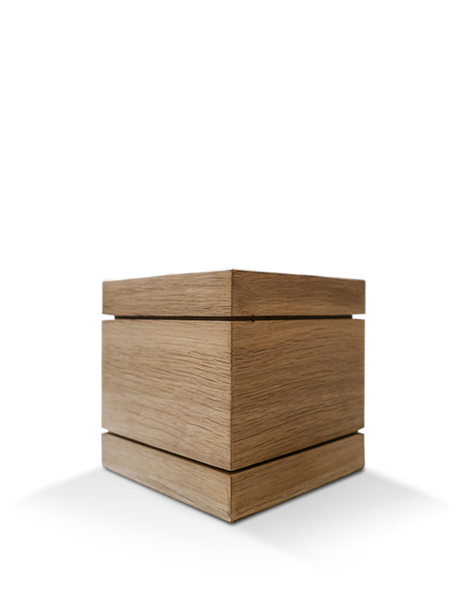 Modell Modell Schenk 66
