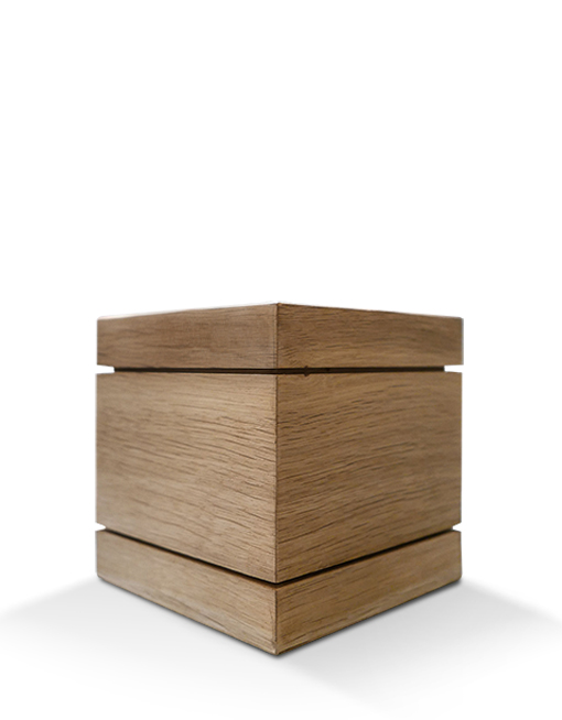 Modell Modell Schenk 66
