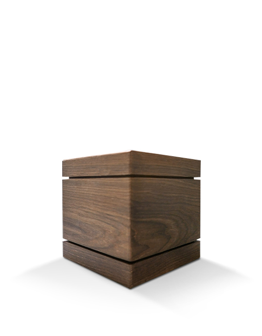 Modell Modell Schenk 66