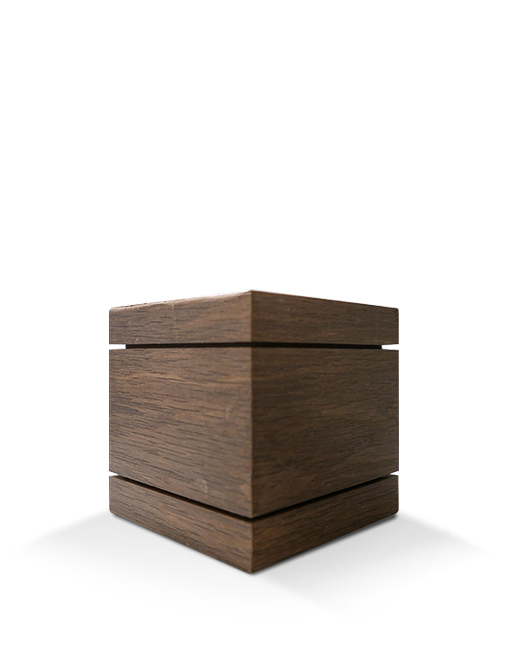 Modell Modell Schenk 66