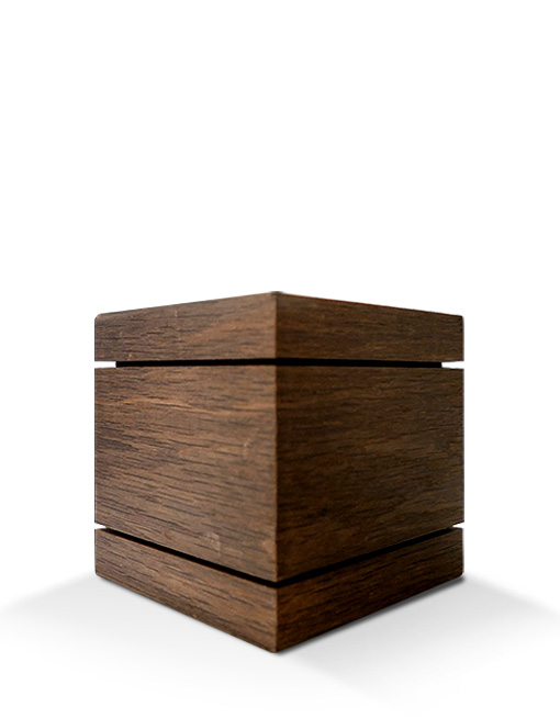 Modell Modell Schenk 66