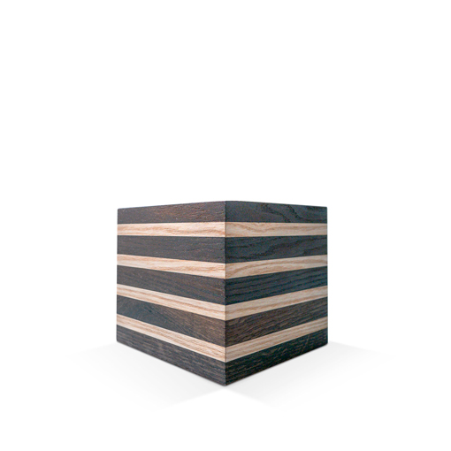 Modell Modell Schenk 37