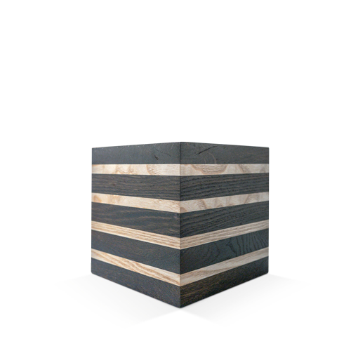 Modell Modell Schenk 37