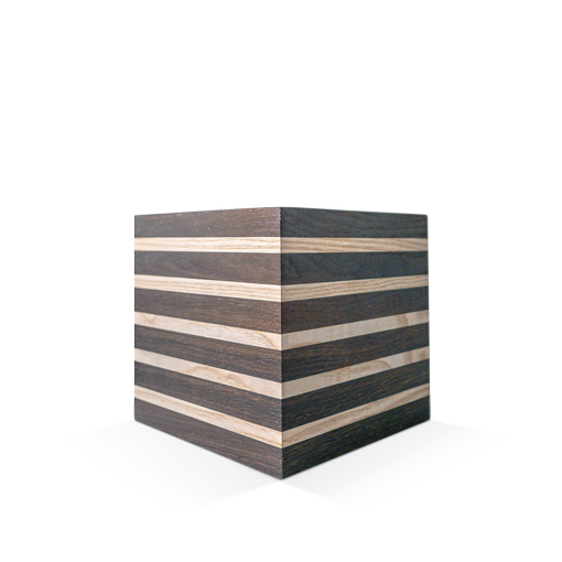 Modell Modell Schenk 37