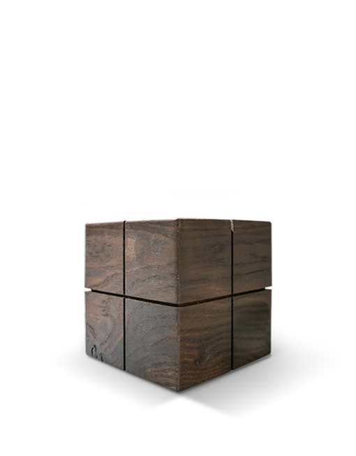 Modell Modell Schenk 79