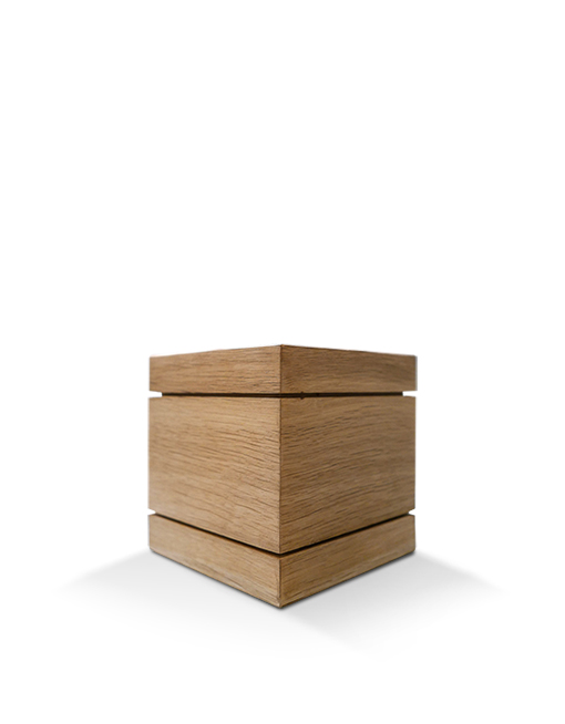 Modell Modell Schenk 66